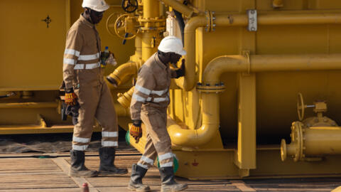 Human Rights Watch calls for halt to 'disaster' TotalEnergies oil project in Uganda