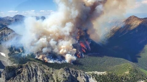 Canada's record-breaking wildfires burned more than 10 million hectares this year