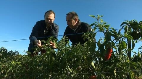 France's Basque Country: A land of chefs