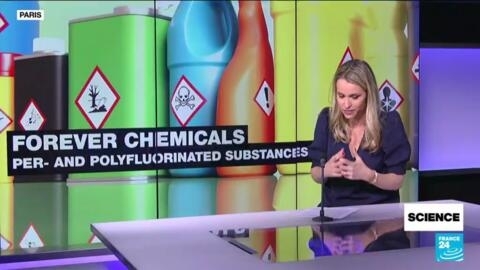 Forever chemicals: Evidence mounts of growing health scandal