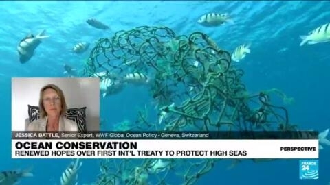 Ocean conservation: Why the first-ever high seas treaty matters