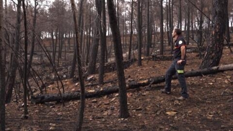 Spain's vulnerable Valencia region prepares for risk of wildfires