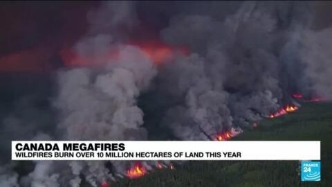 As climate warms and world's forests 'dry out', wildfires 'burn more severely' & for longer periods