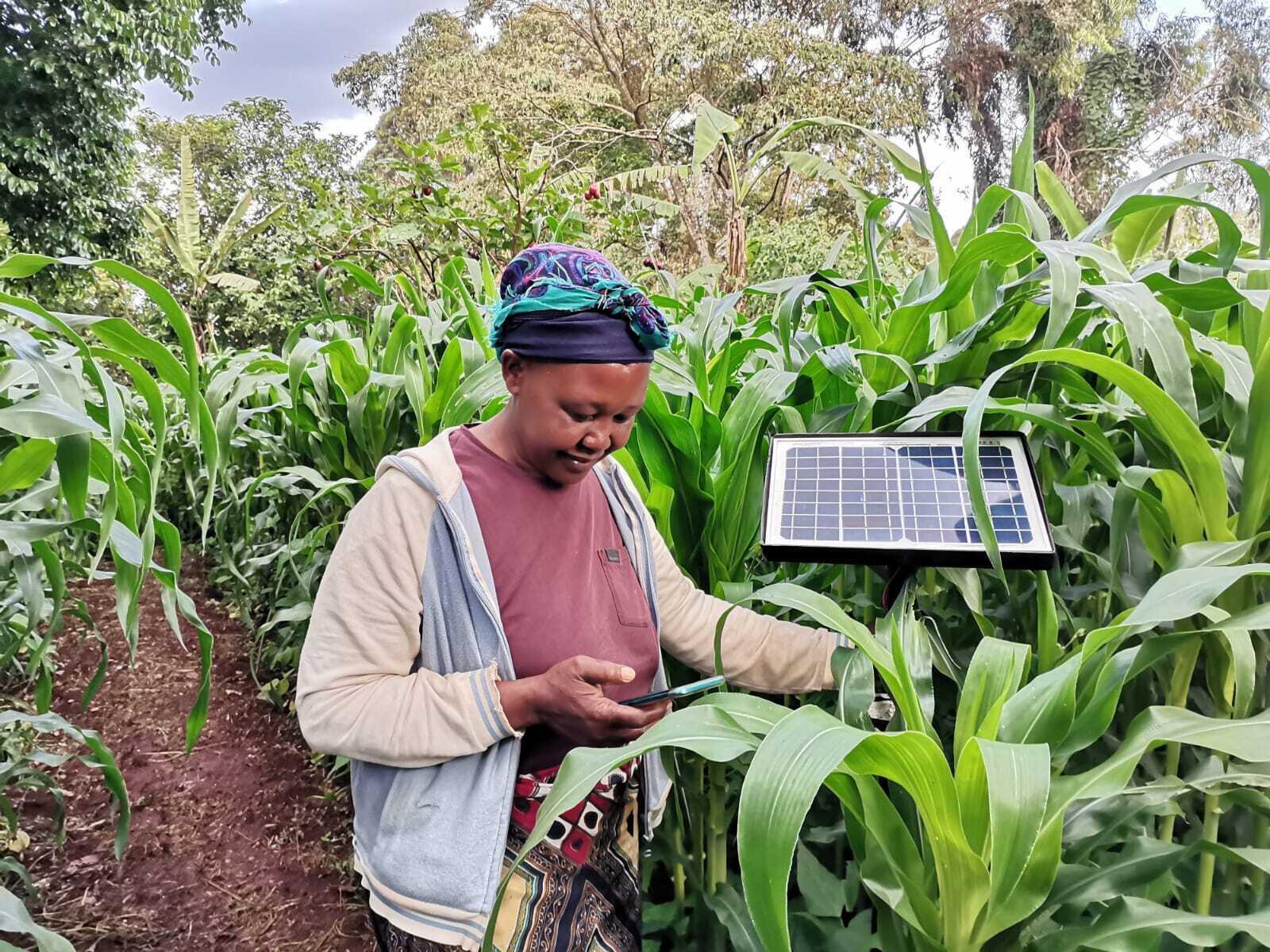 Marianne Gichanga, founder of Agritech Analysis