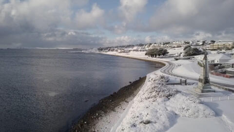 Forty years after Falklands War, wounds still run deep