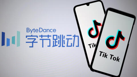 Applicata non grata: TikTok banned from official devices in several countries