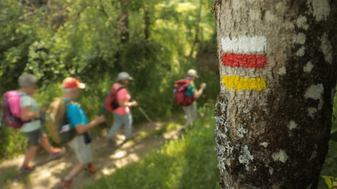 Discovering France's most beautiful hiking paths